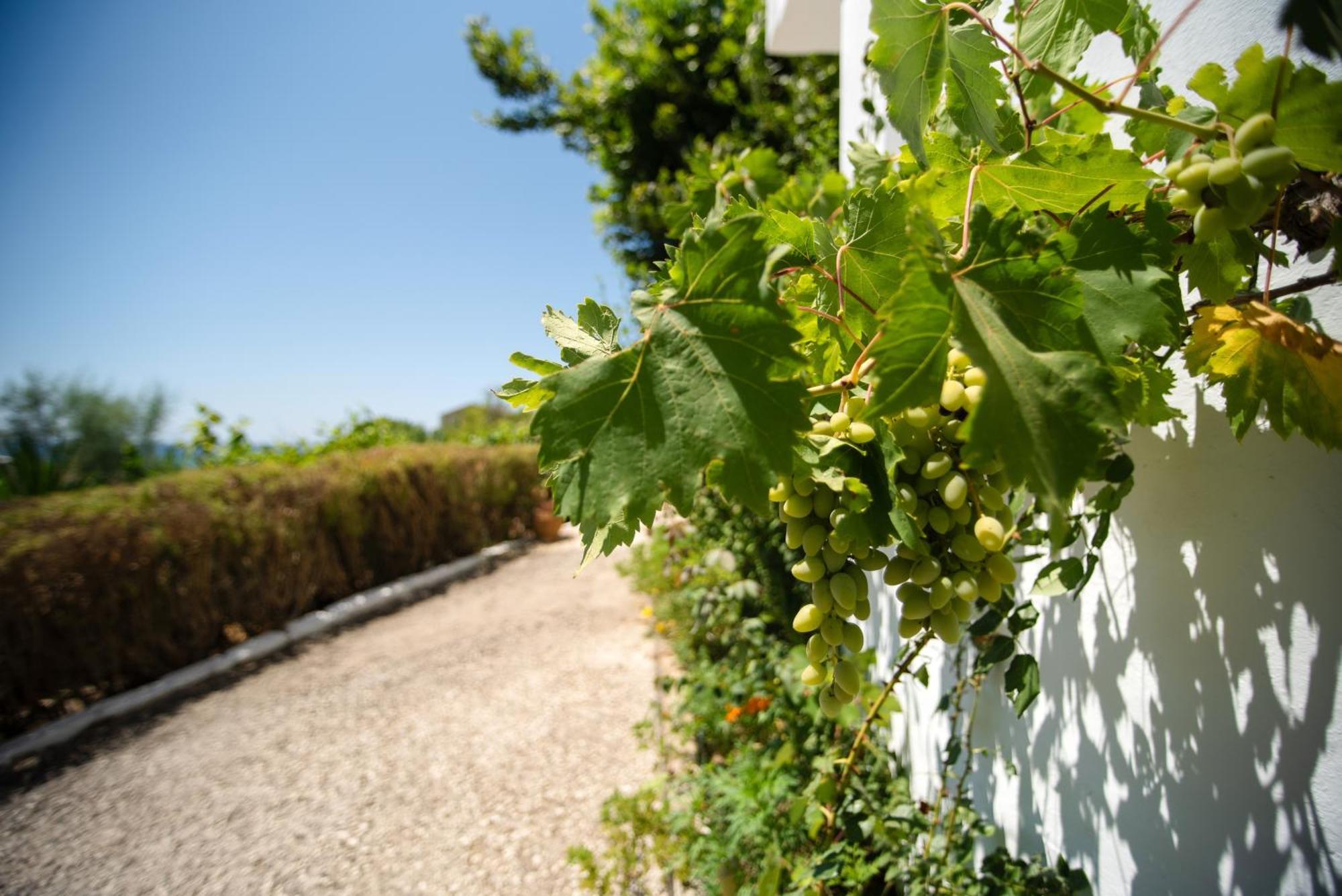 Villa Anneta Vitalades Exterior photo