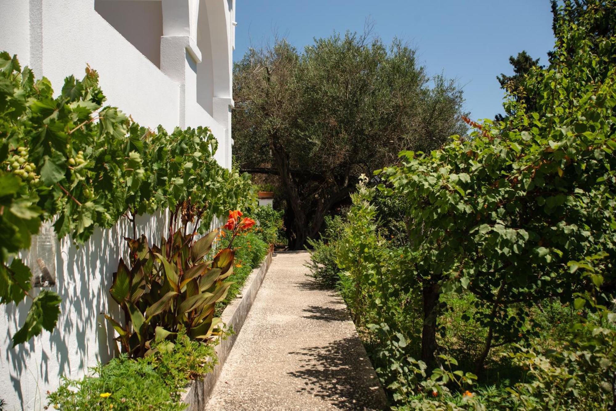 Villa Anneta Vitalades Exterior photo